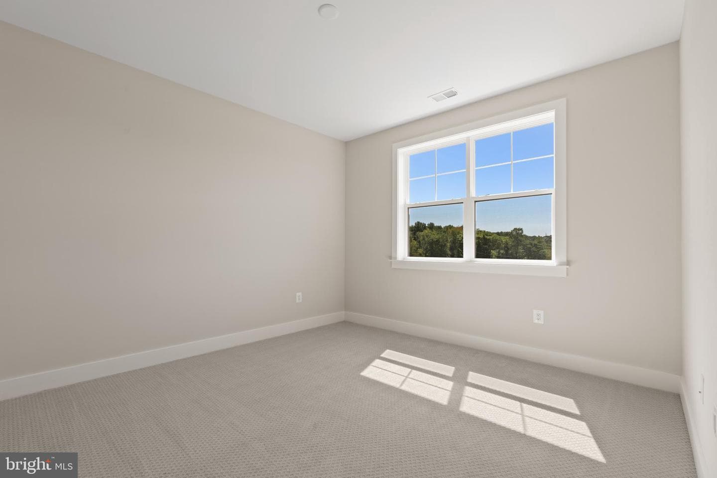 21331 Big Woods Road photo 45