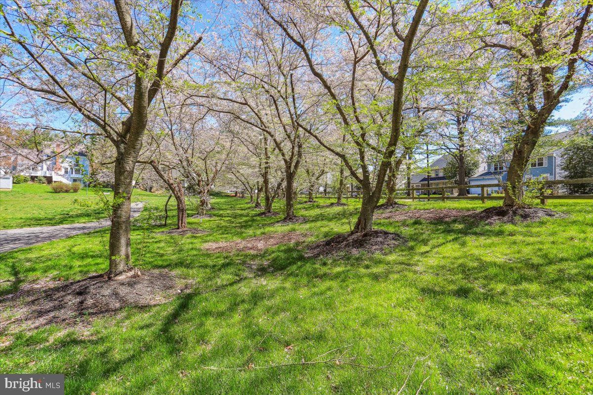 22 Cullinan Drive photo 68