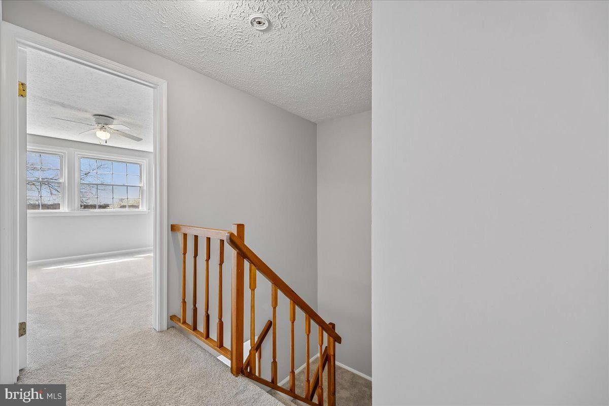 25615 Coltrane Drive photo 24