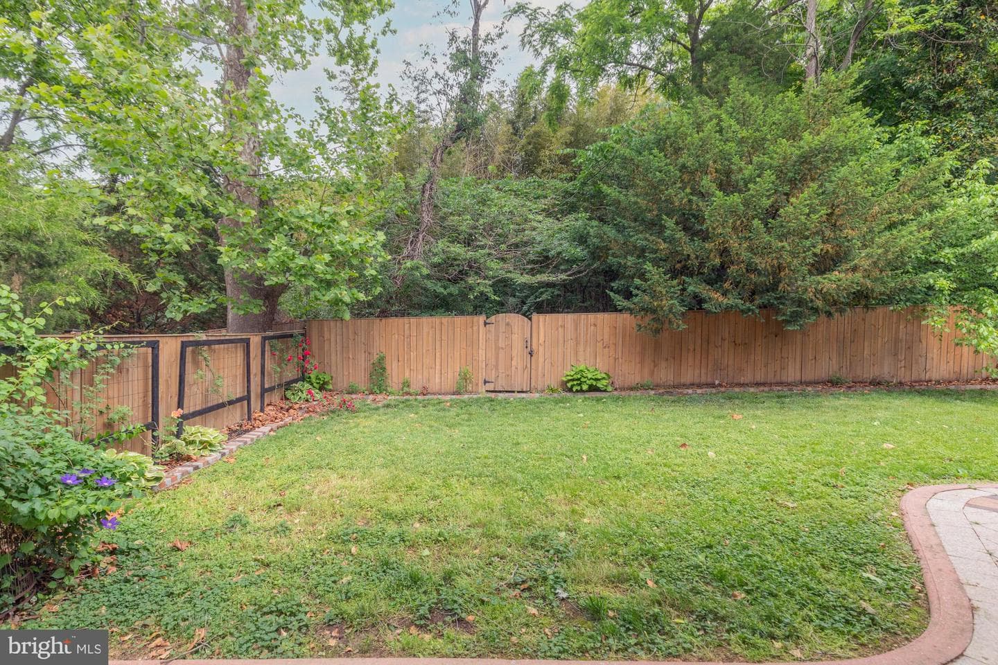 9715 Singleton Drive photo 54