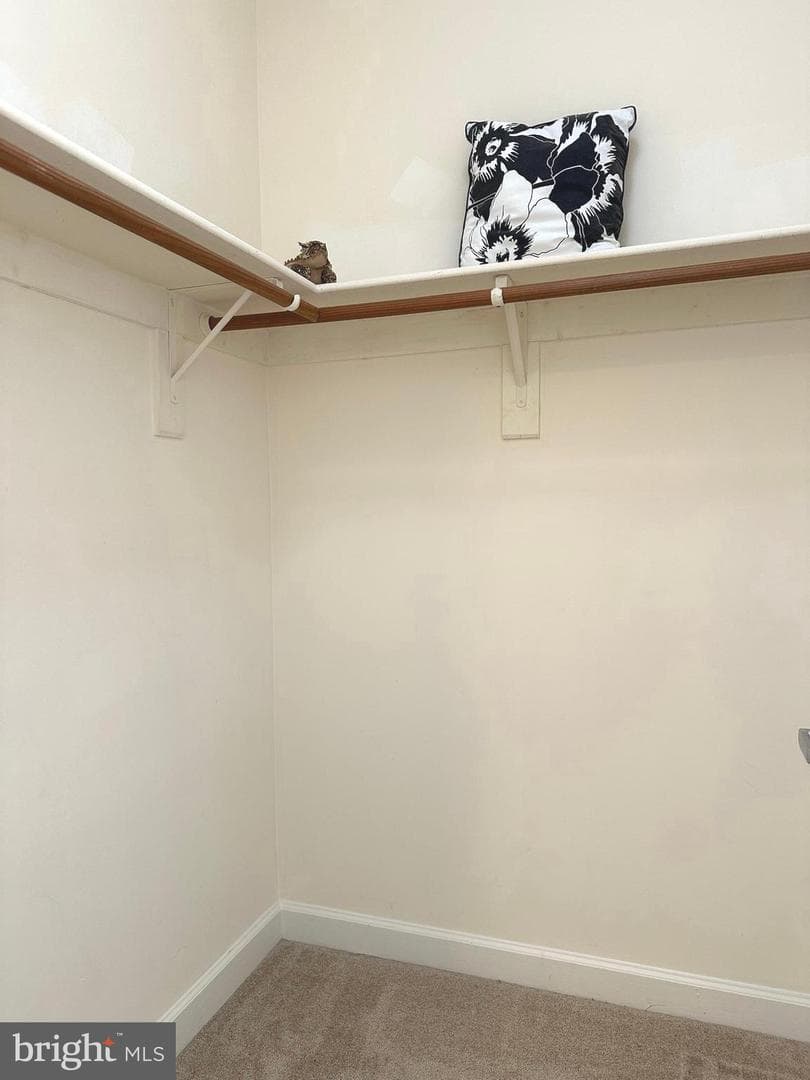 623 Hurdle Mill Place photo 23