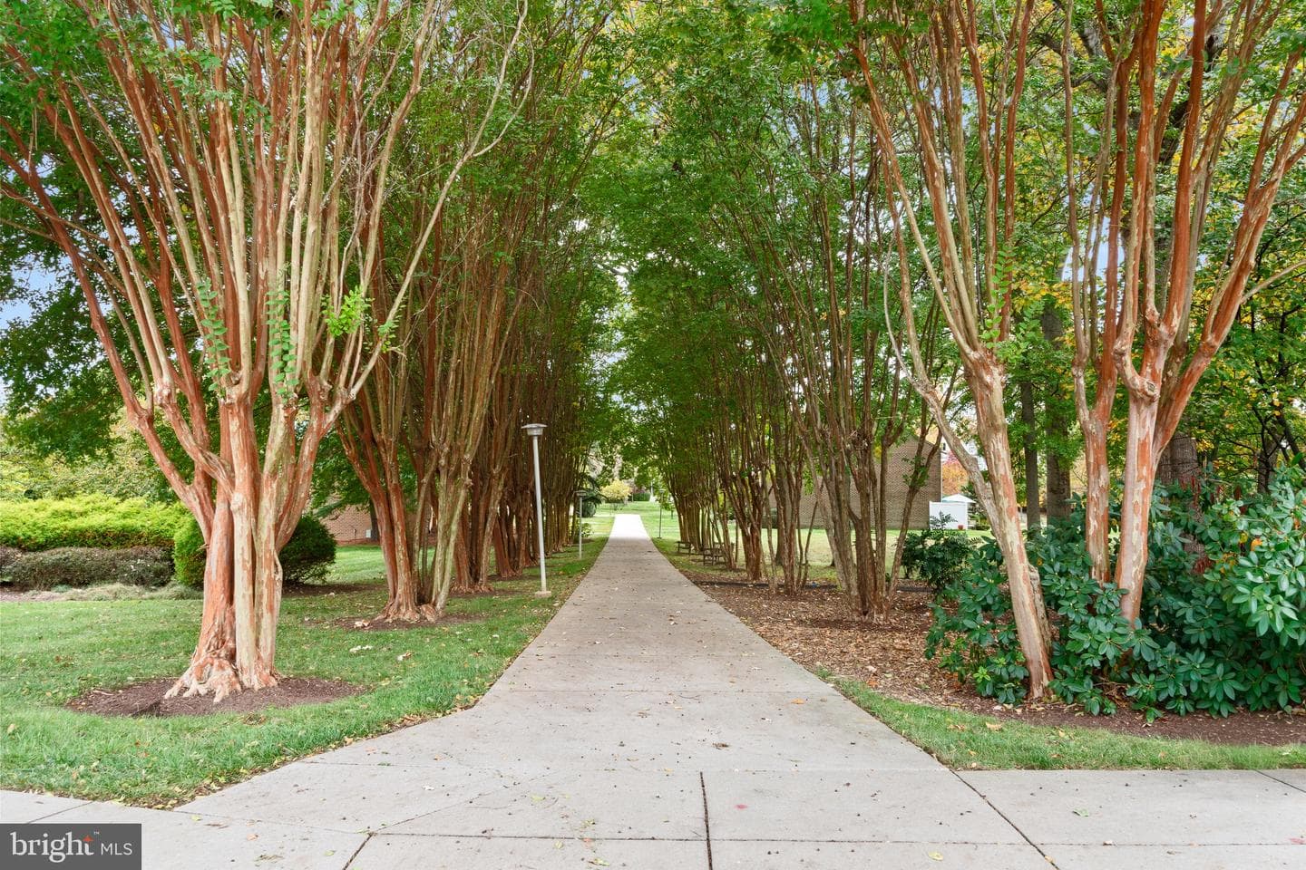 15115 Interlachen Drive #3-607 photo 30