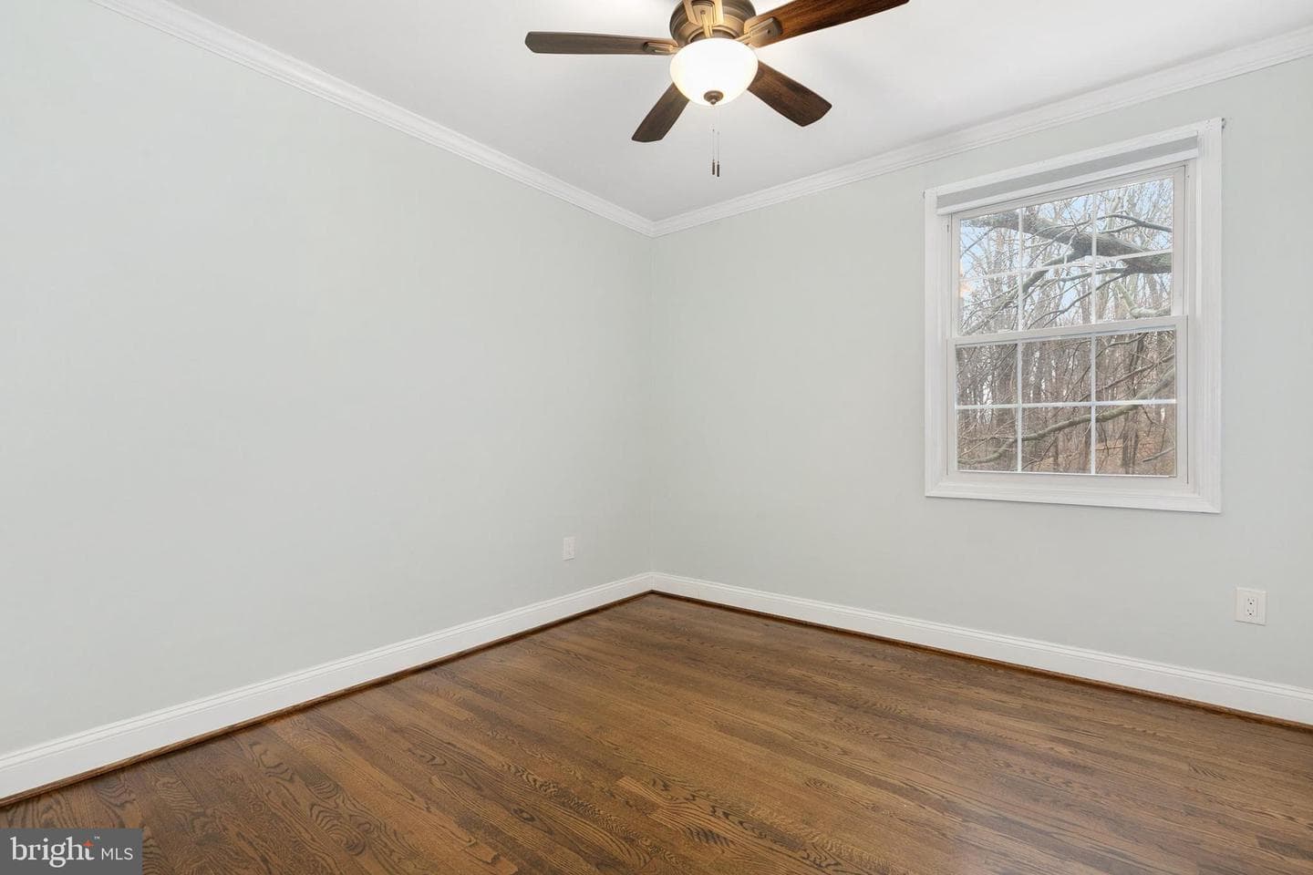 14312 Morton Hall Road photo 19