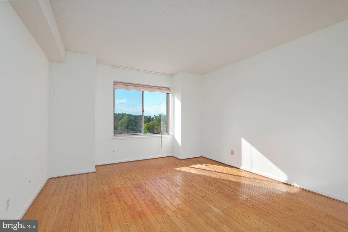 5800 Nicholson Lane #1-805 photo 15