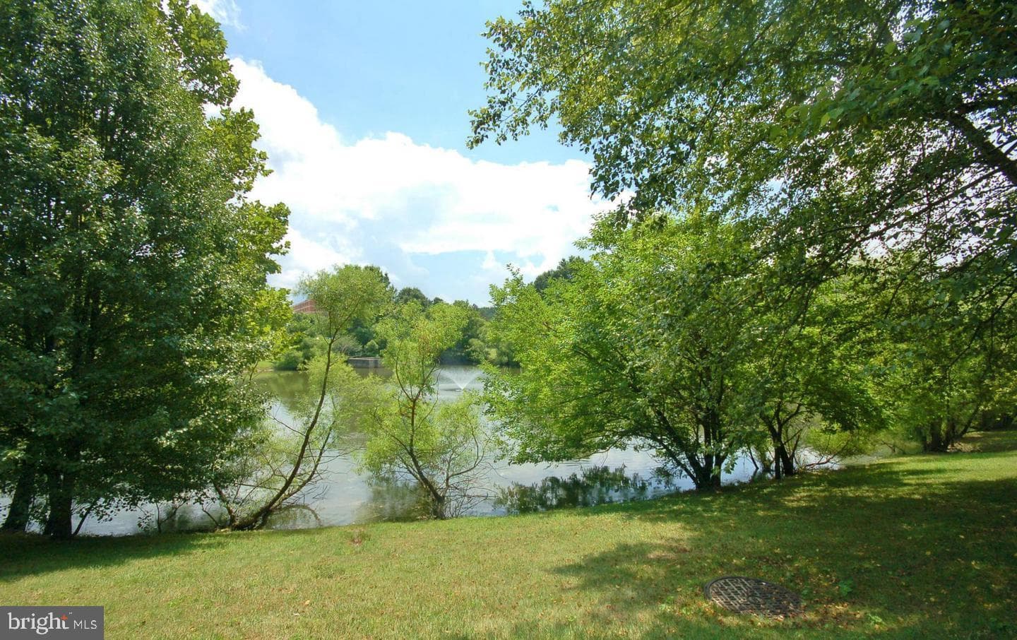 18303 Leman Lake Drive #708 photo 3