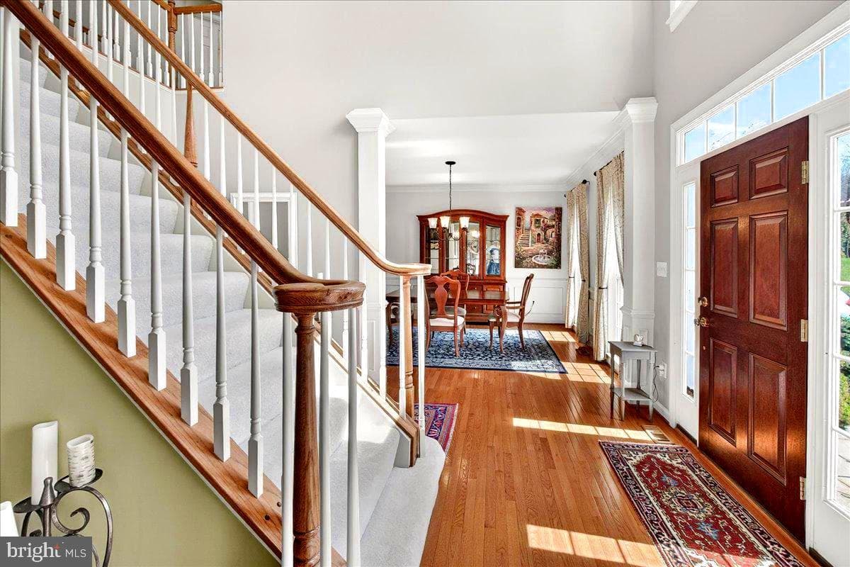 21 Hackett Court photo 19