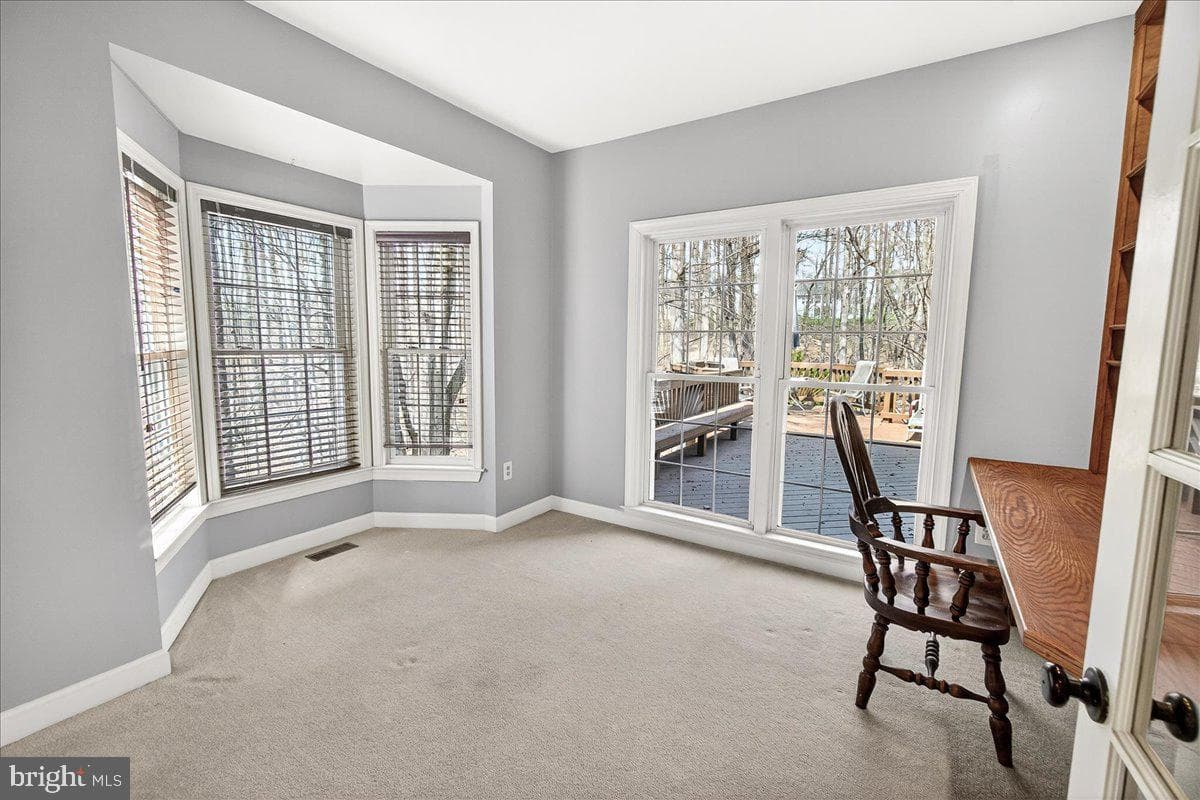 21 Hackett Court photo 42