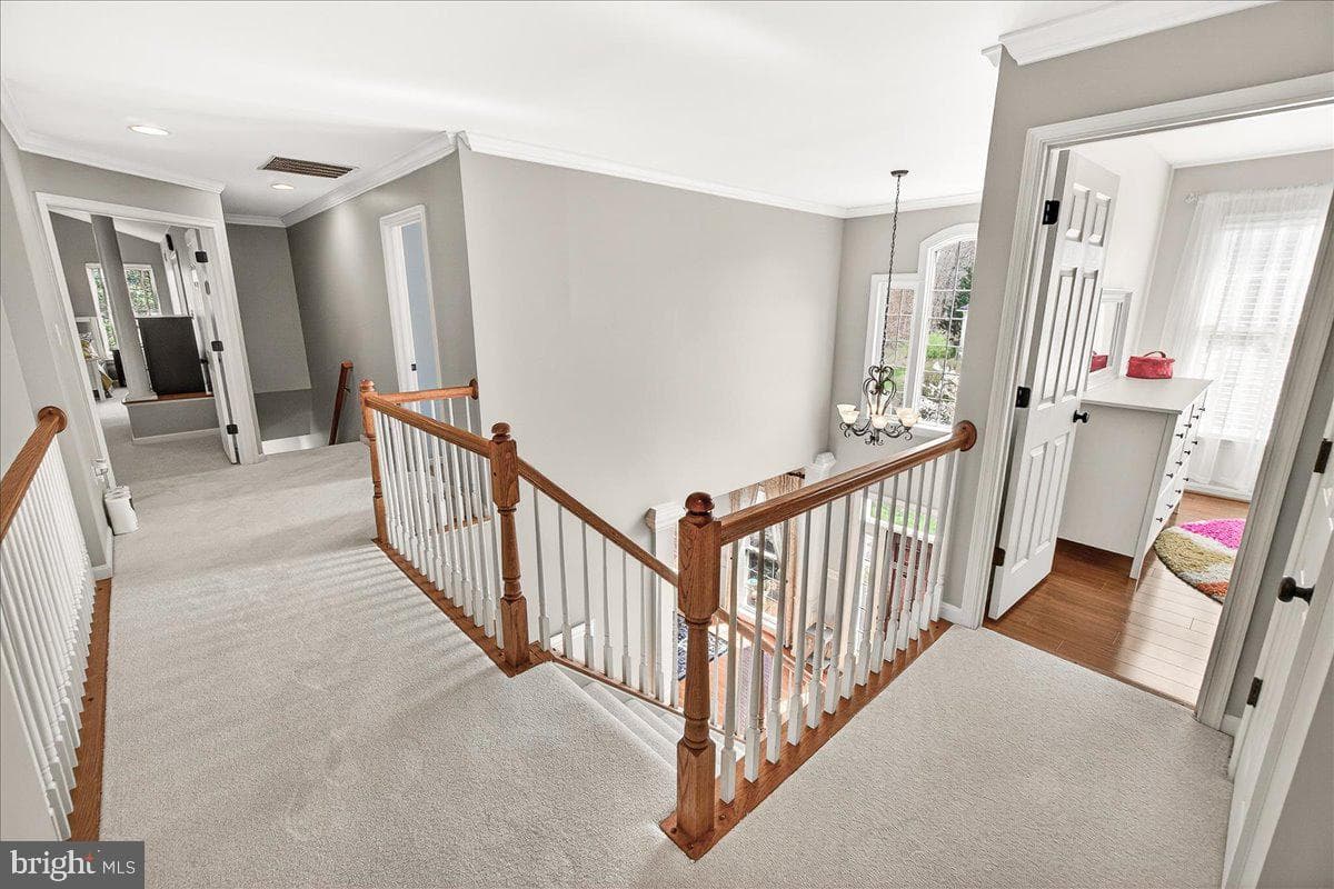 21 Hackett Court photo 46