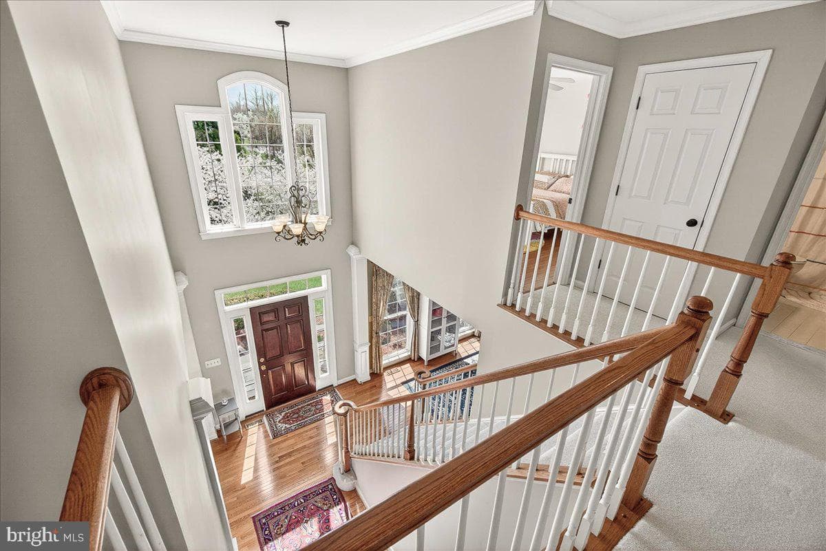 21 Hackett Court photo 47