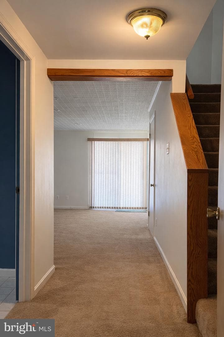13001 Robins Nest Terrace photo 11