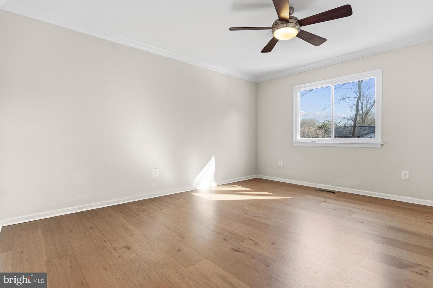 11200 Trippon Ct photo 17