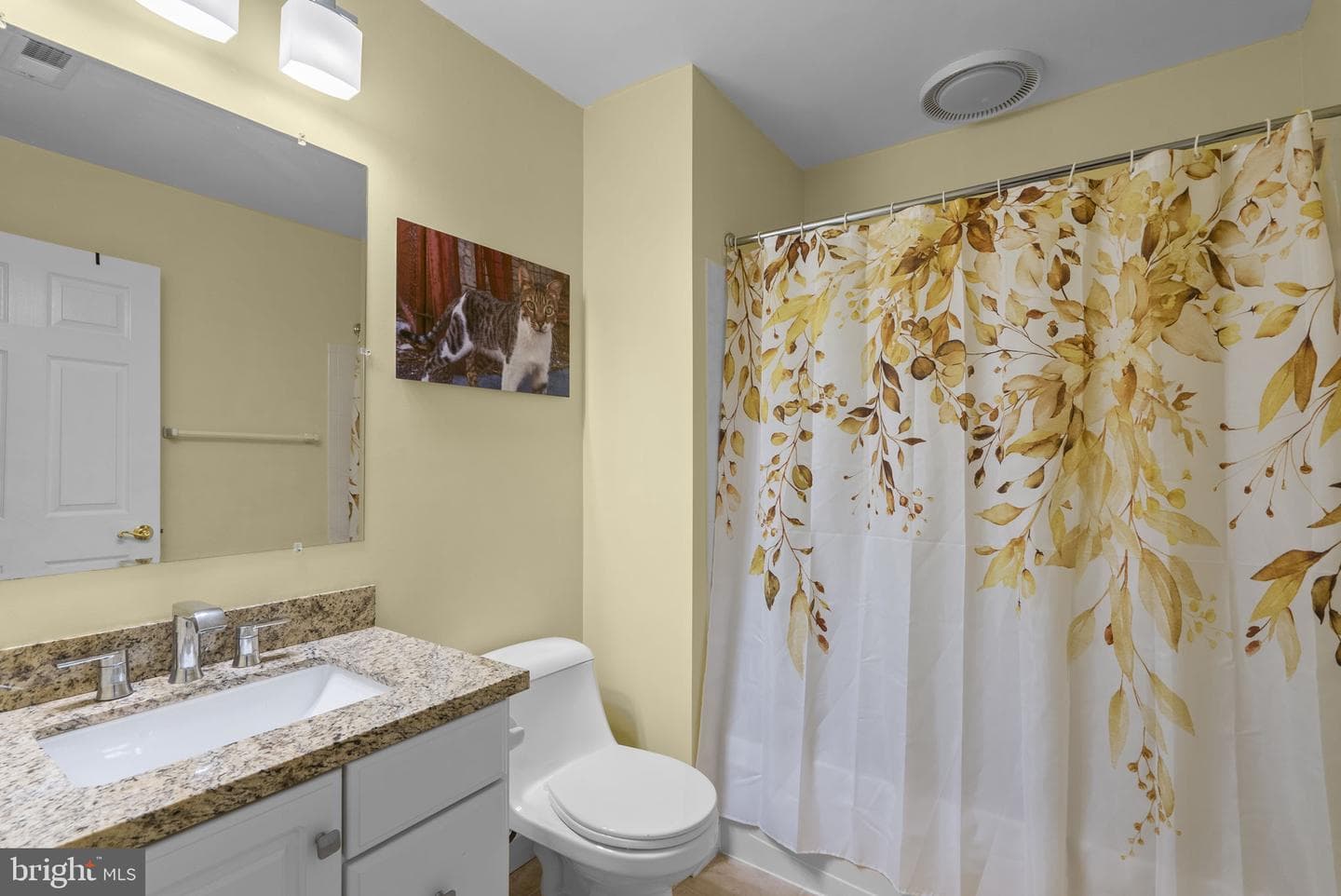 10407 Flowerfield Way photo 36