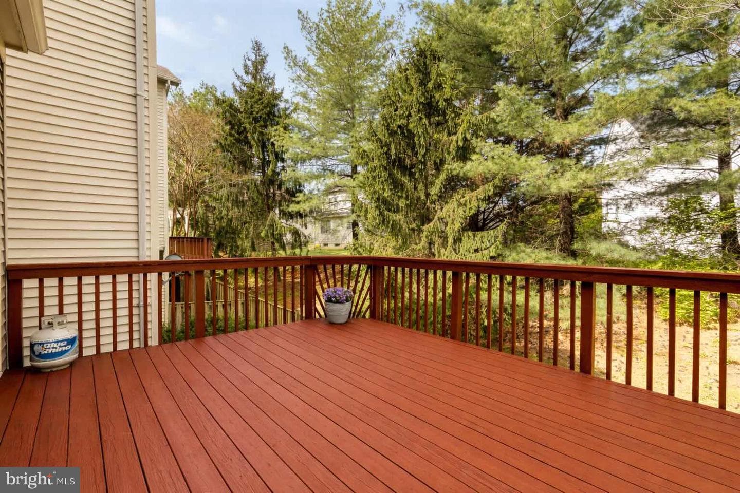 31 Calabash Court photo 38