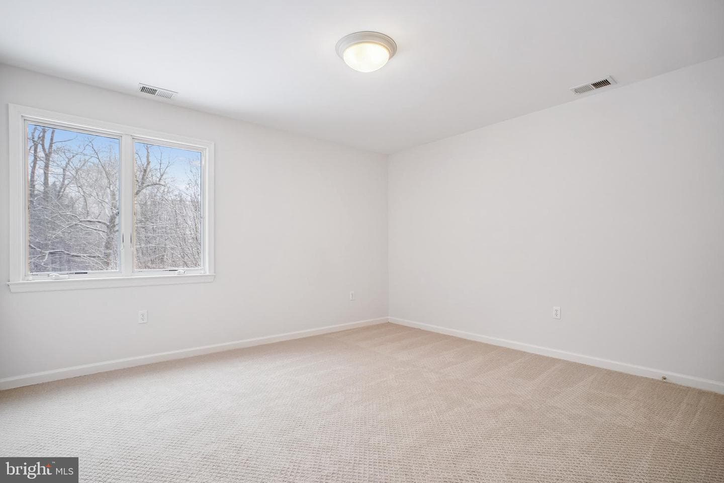 8512 Burning Tree Road photo 62