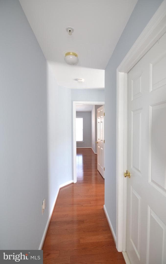 461 Clayhall Street photo 31