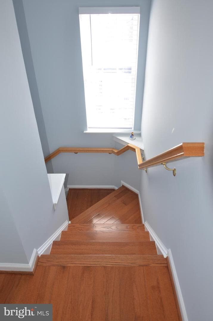 461 Clayhall Street photo 38