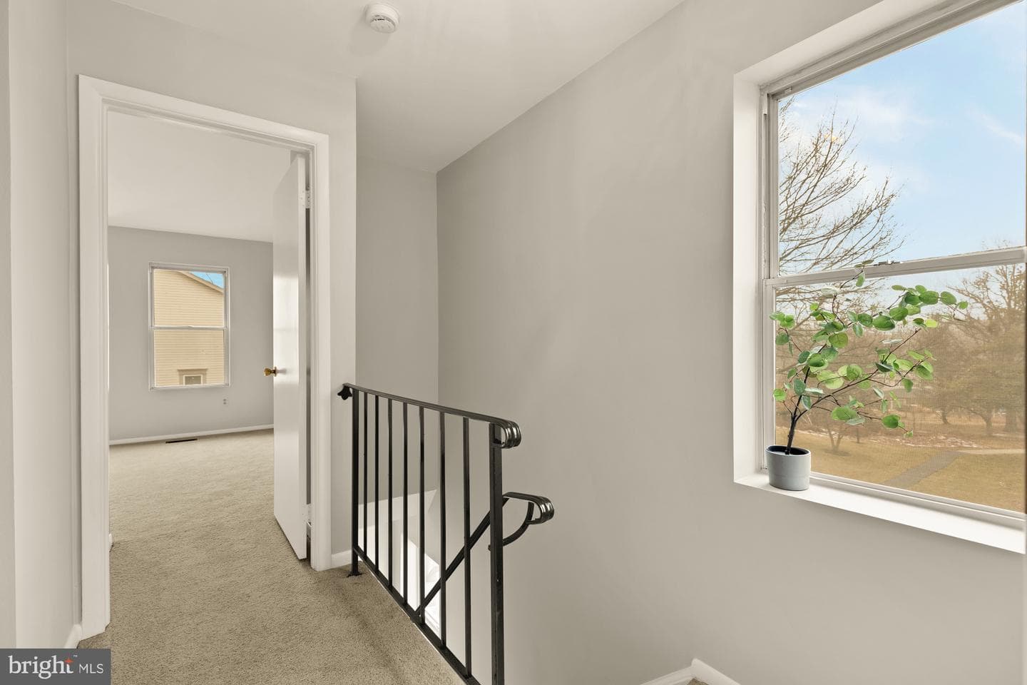 2890 Schoolhouse Circle photo 25