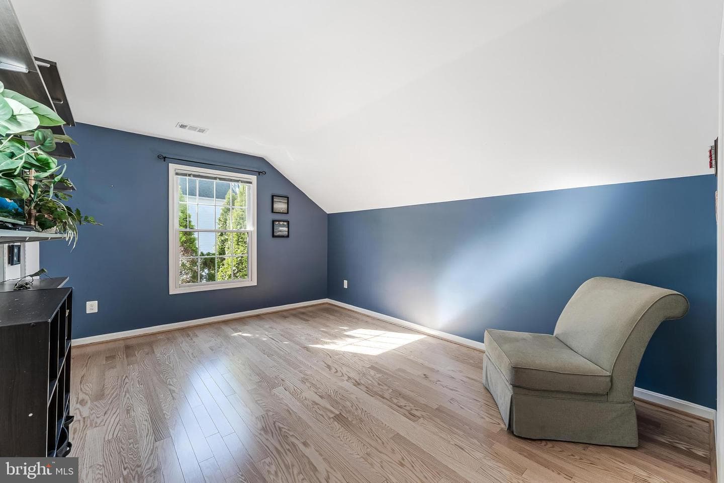 10005 Bald Cypress Drive photo 52