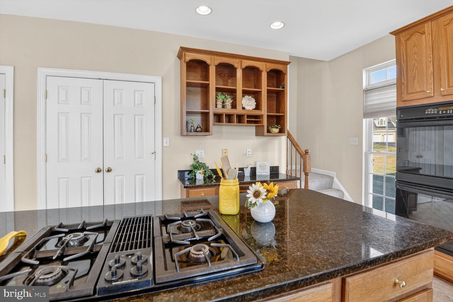 15230 Briarcliff Manor Way photo 8