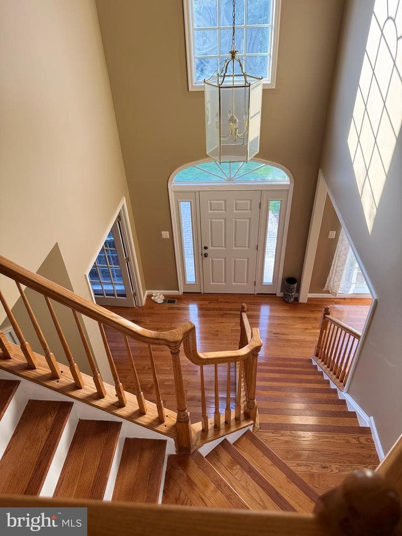 23601 White Peach Court photo 41