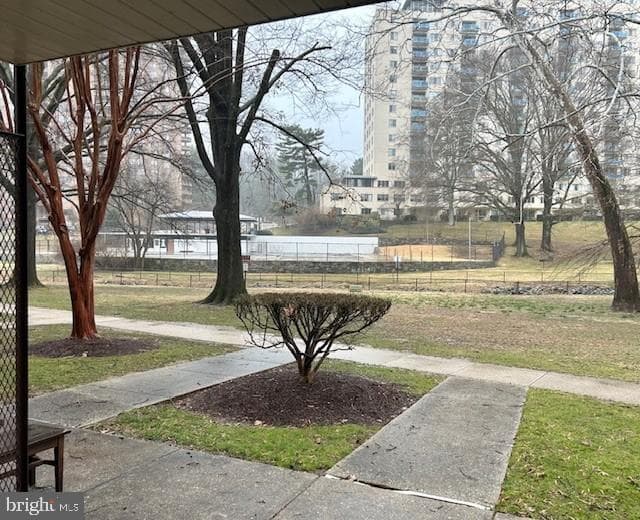 10212 Rockville Pike #102 photo 3