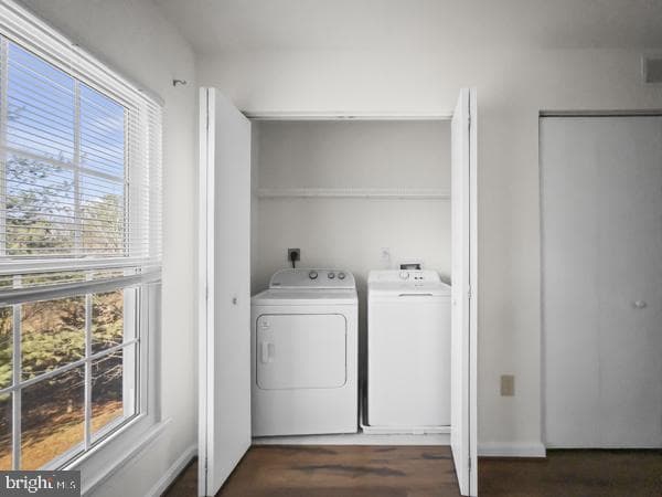 13022 Vaden Terrace #225a photo 12