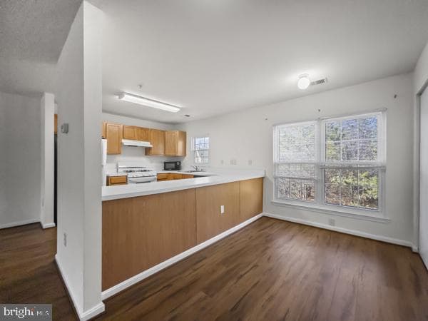 13022 Vaden Terrace #225a photo 8
