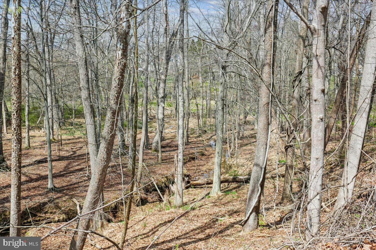 11112 Tara Rd photo 41