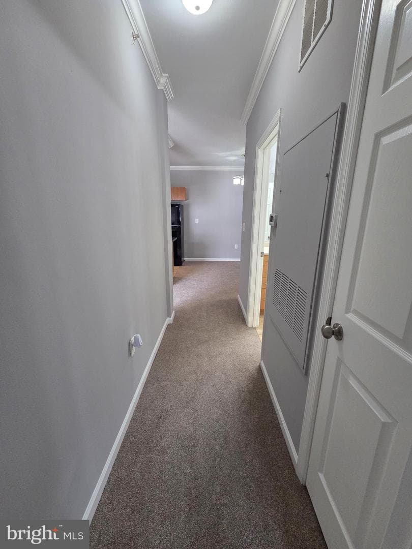 13506 Derry Glen Court #401 photo 13