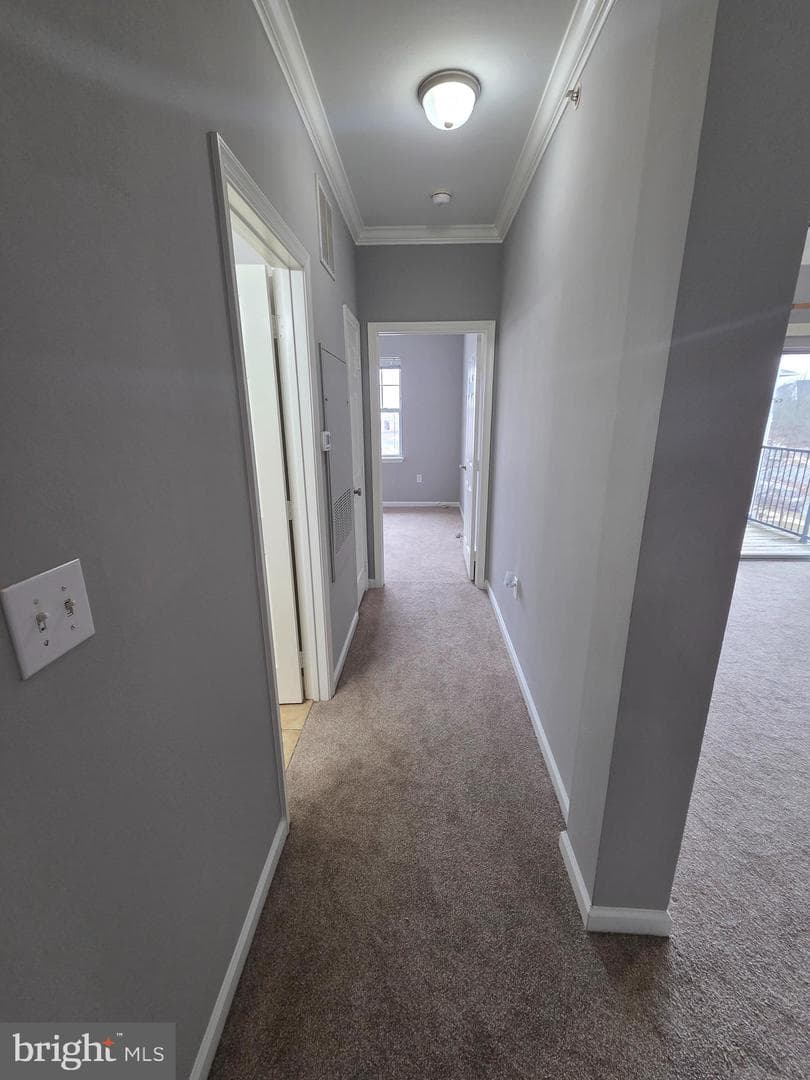 13506 Derry Glen Court #401 photo 8