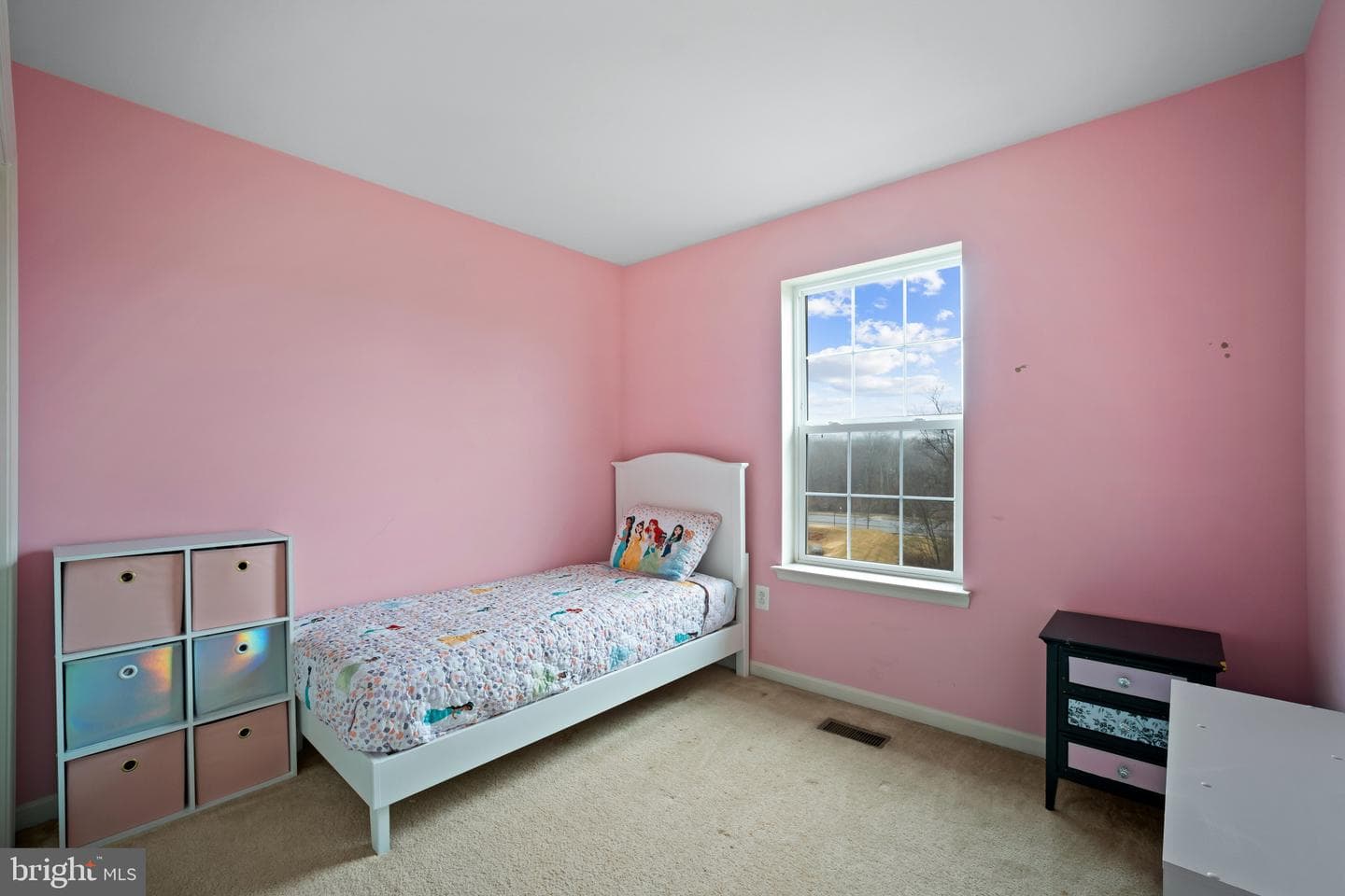22616 Majestic Elm Court #58 photo 21
