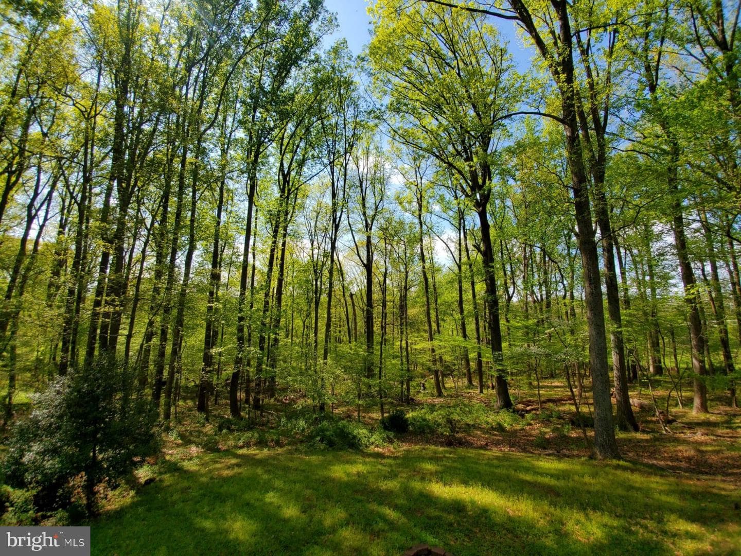 10101 Lloyd Road photo 62