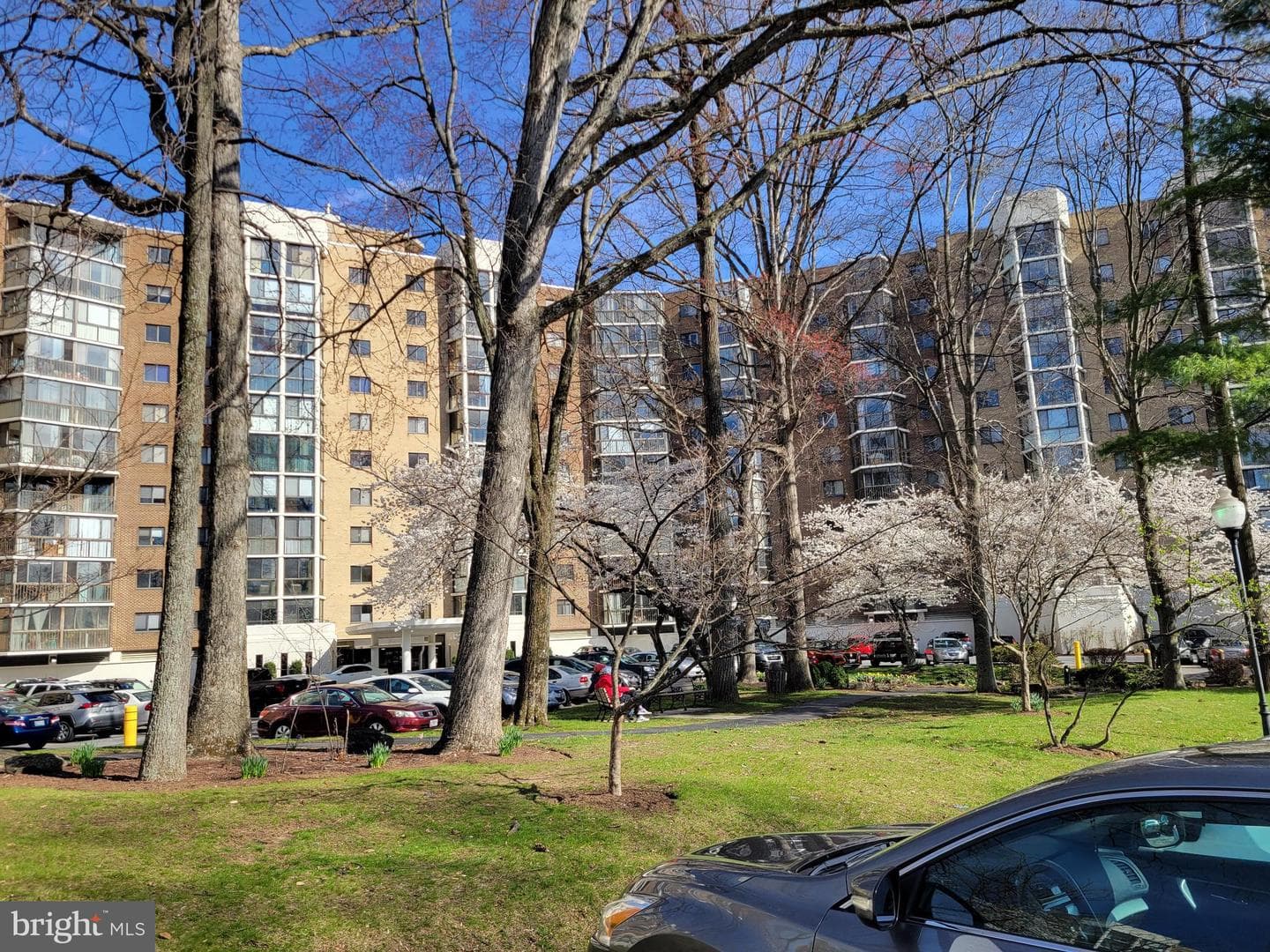 15107 Interlachen Drive #2-1006 photo 3