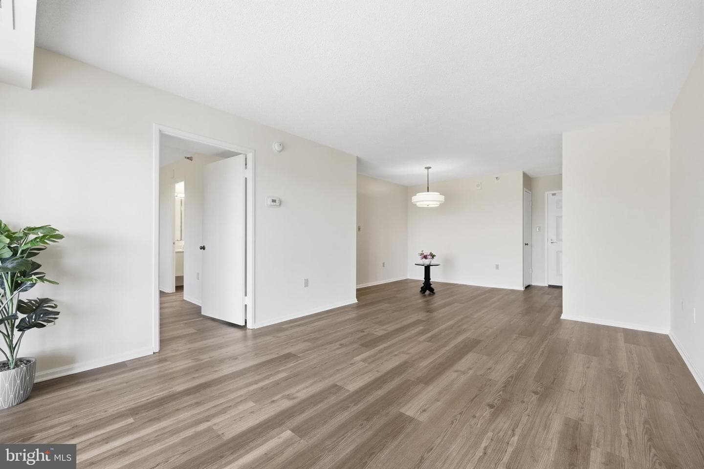15107 Interlachen Drive #2-1006 photo 9