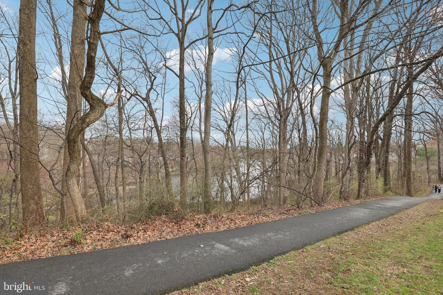 13 Pickering Court #13-02 photo 42