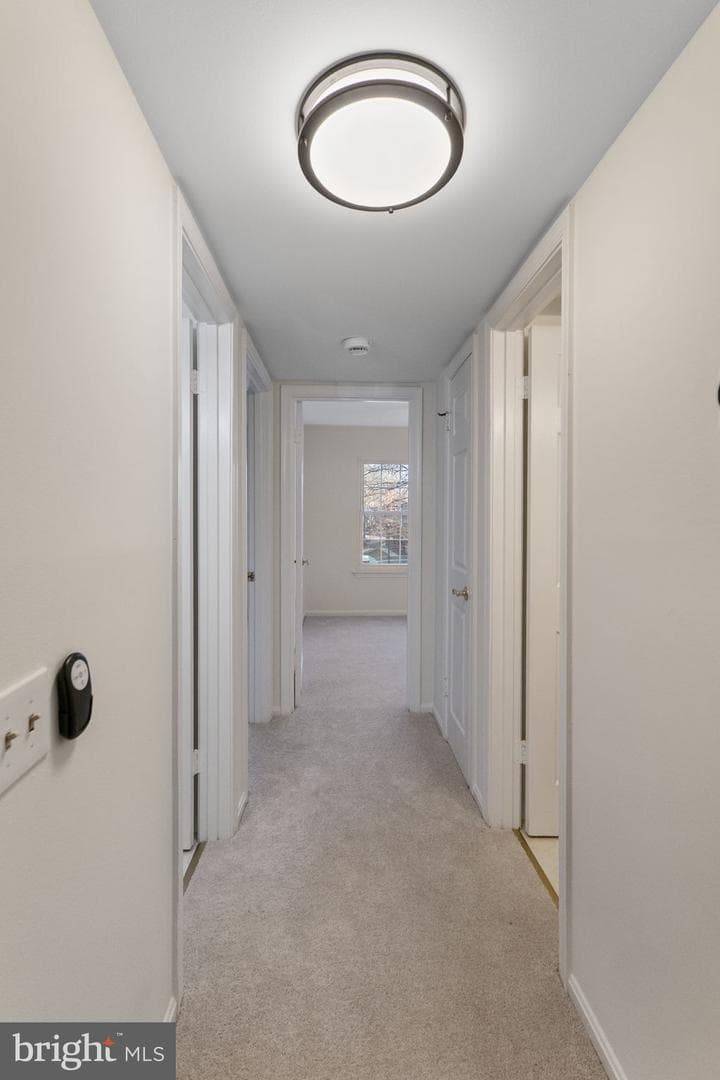 20248 Shipley Terrace #301 photo 13