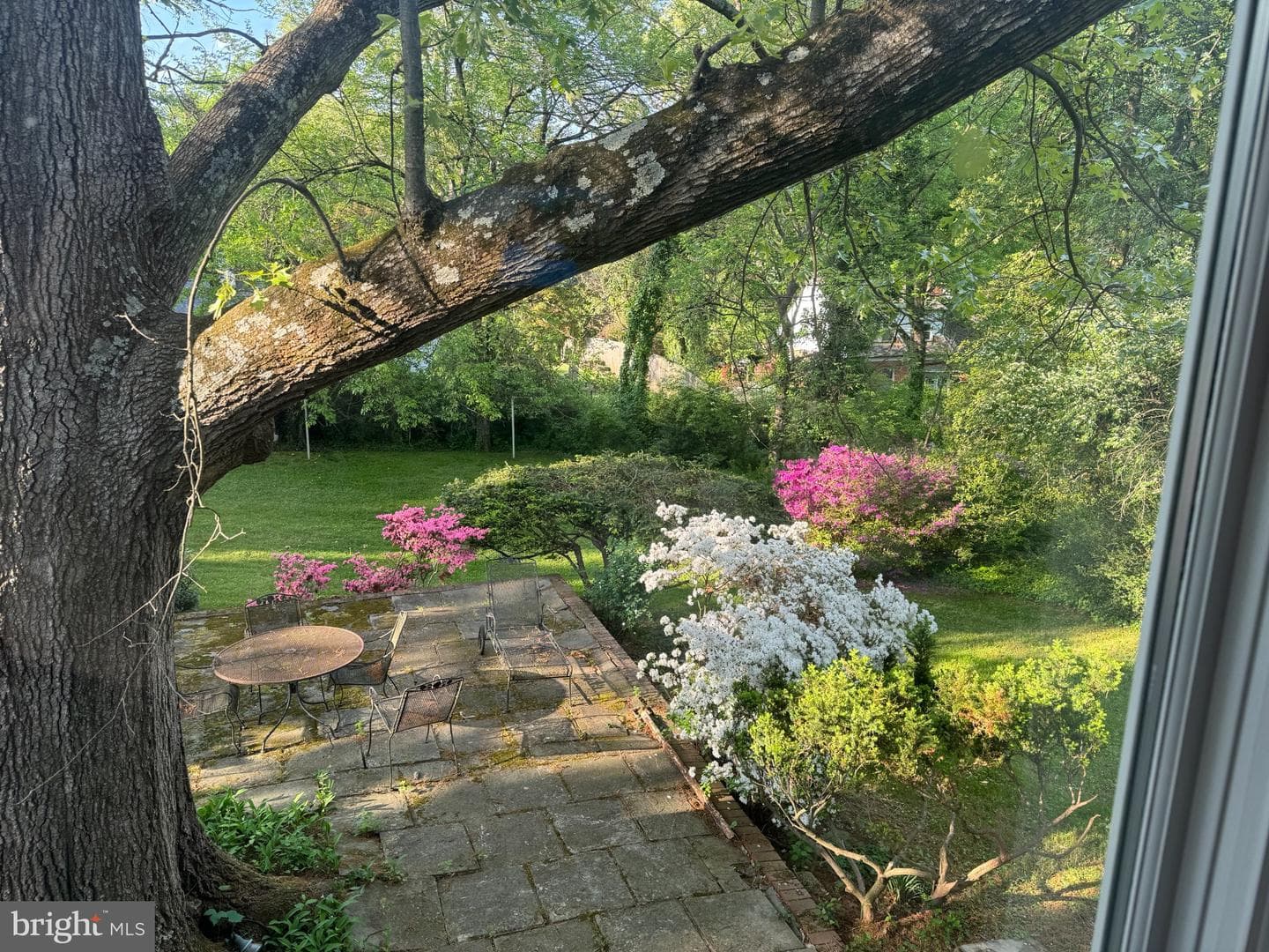 1724 Overlook Drive photo 47