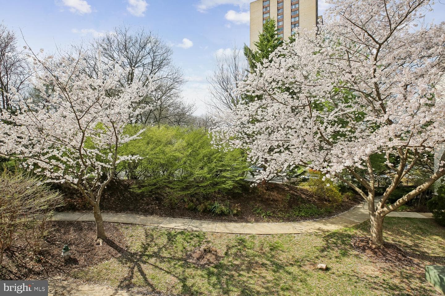 9752 Athletic Way photo 41