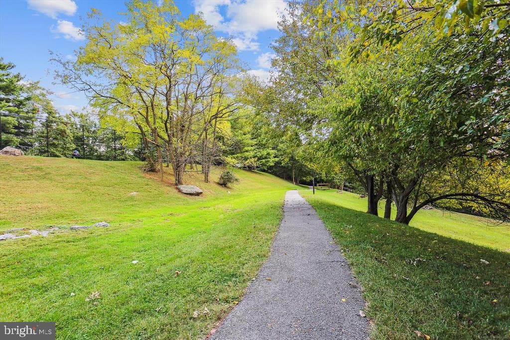 55 Timber Rock Road photo 55