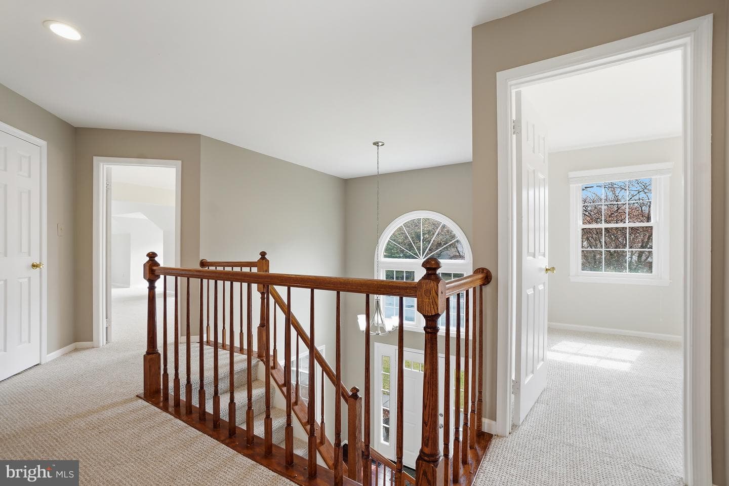 4 Leatherbark Court photo 26