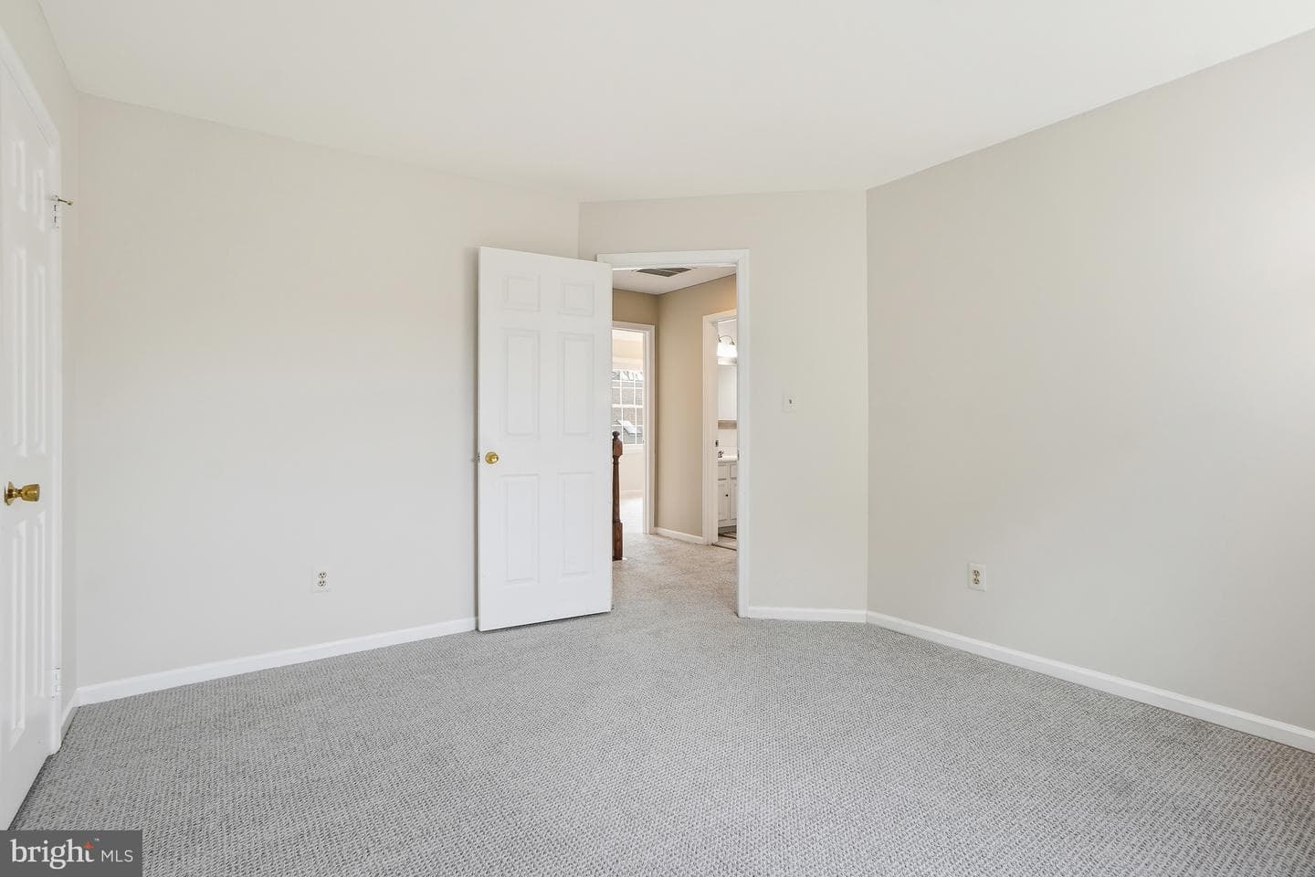 4 Leatherbark Court photo 40