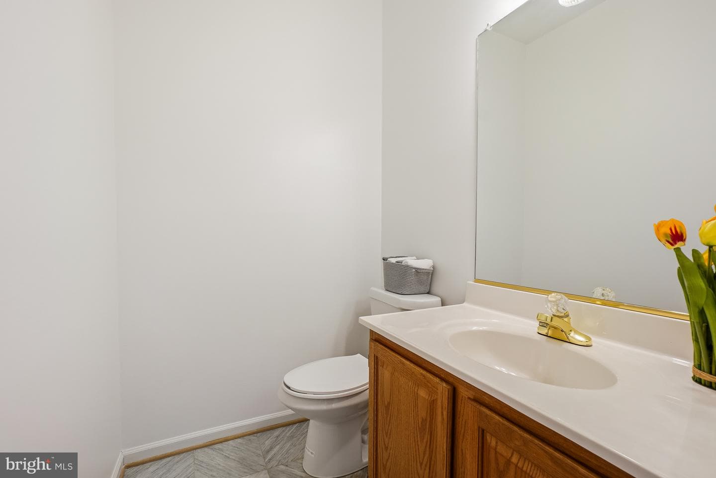 5 Driscoll Court photo 10