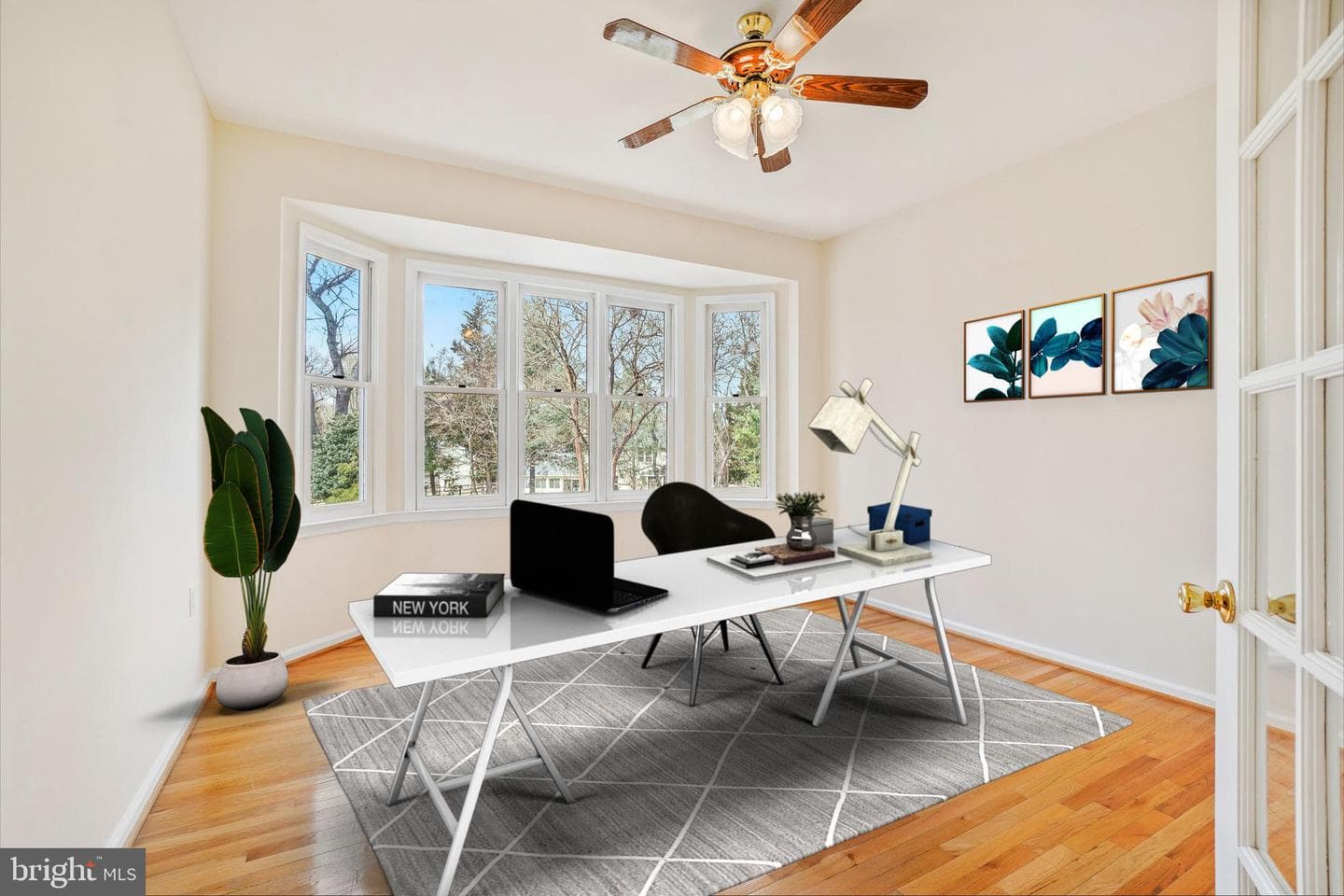 5 Driscoll Court photo 12