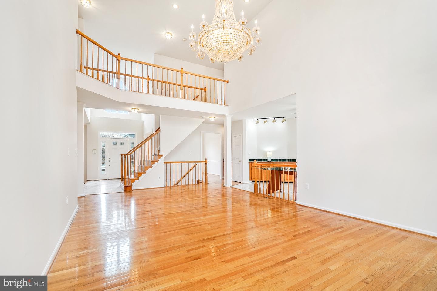 5 Driscoll Court photo 17