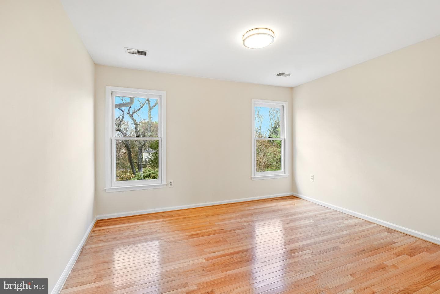 5 Driscoll Court photo 27