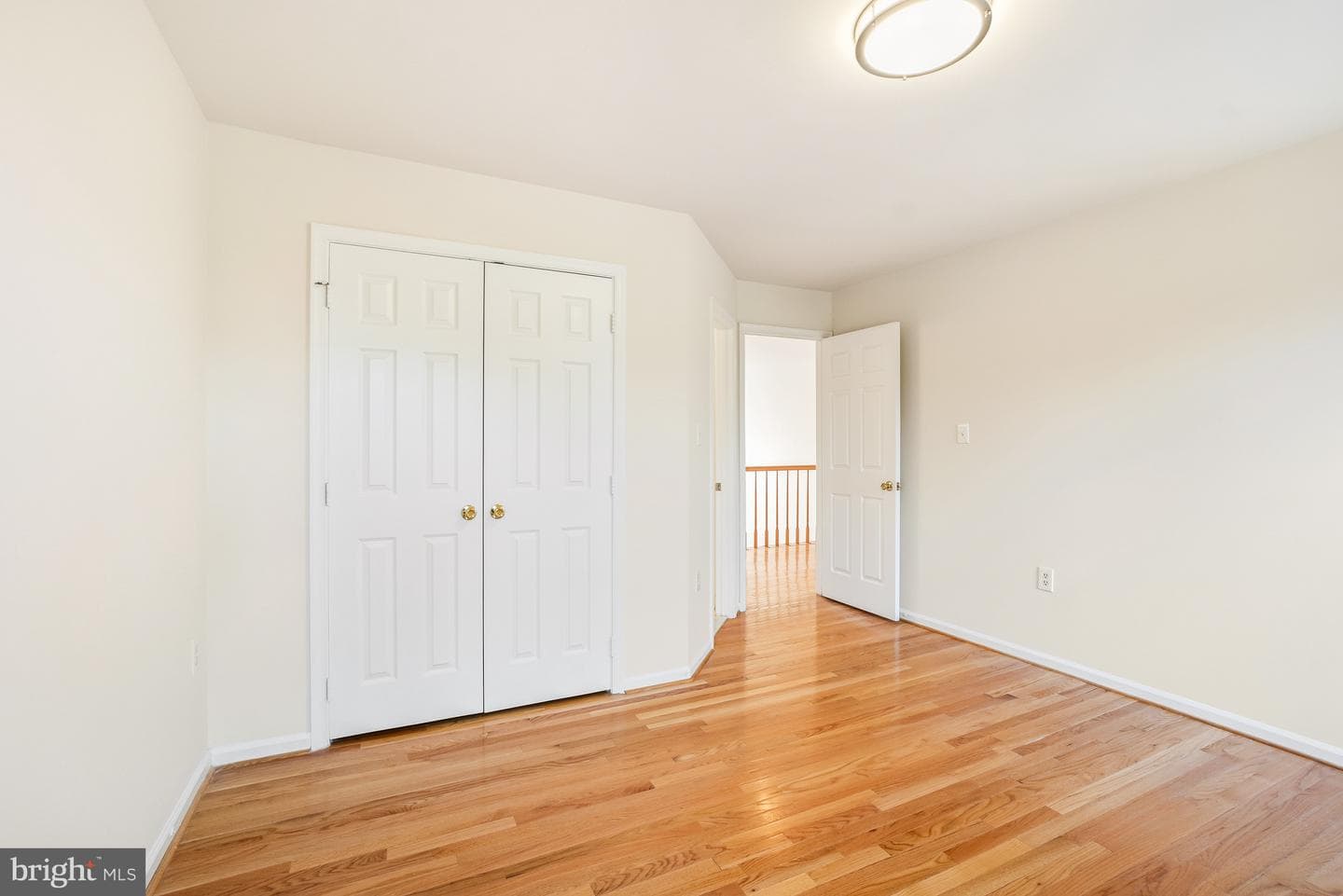 5 Driscoll Court photo 29
