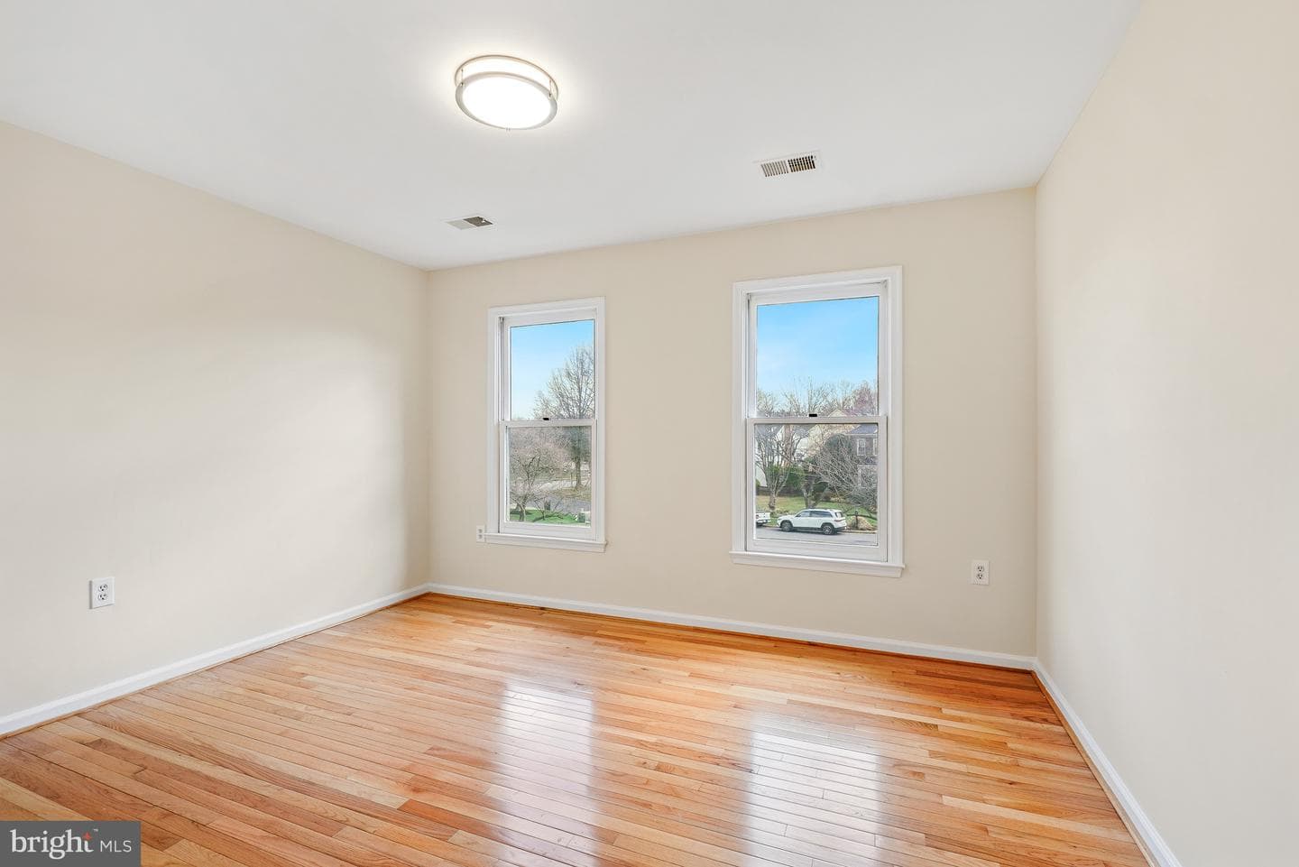 5 Driscoll Court photo 31