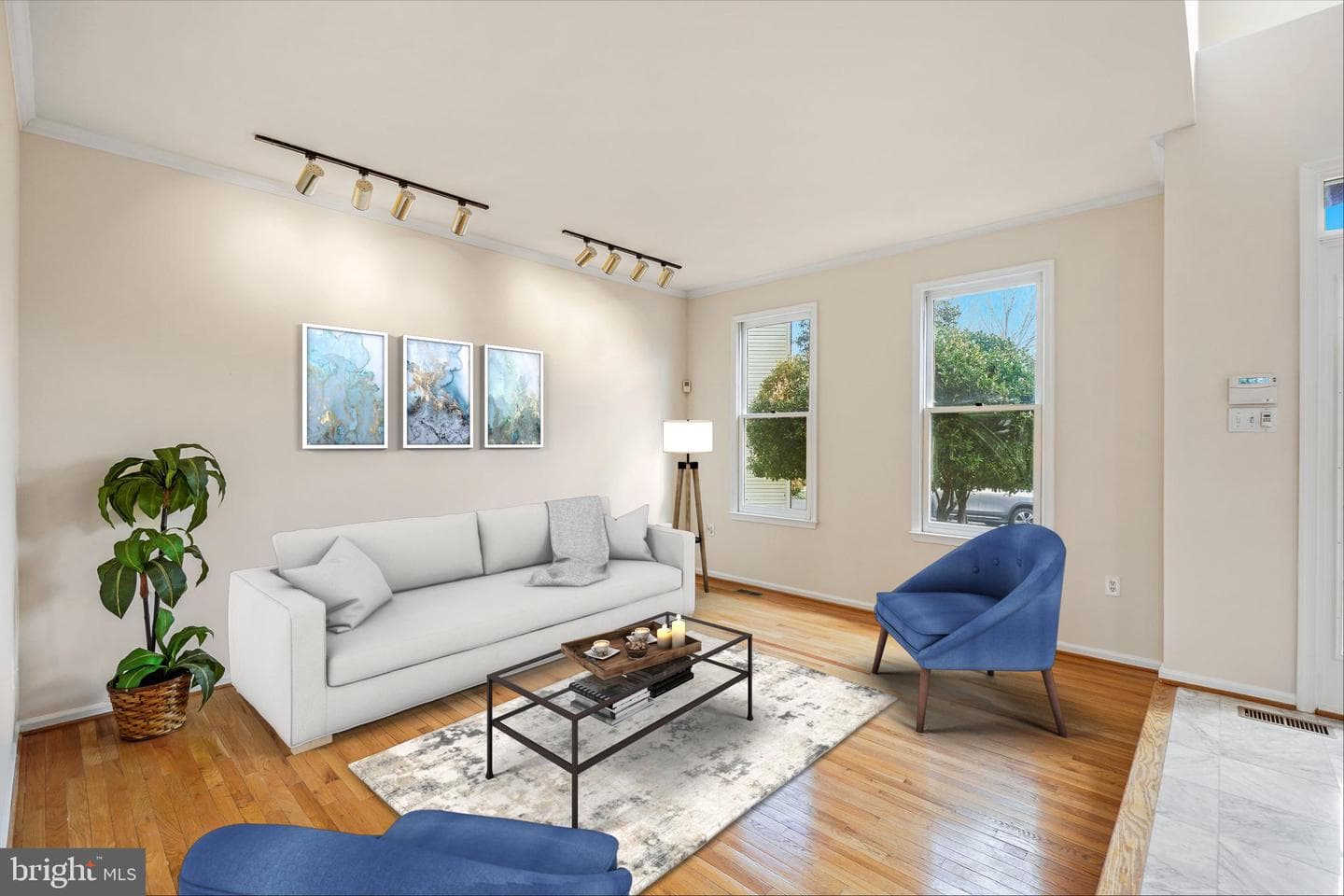 5 Driscoll Court photo 4