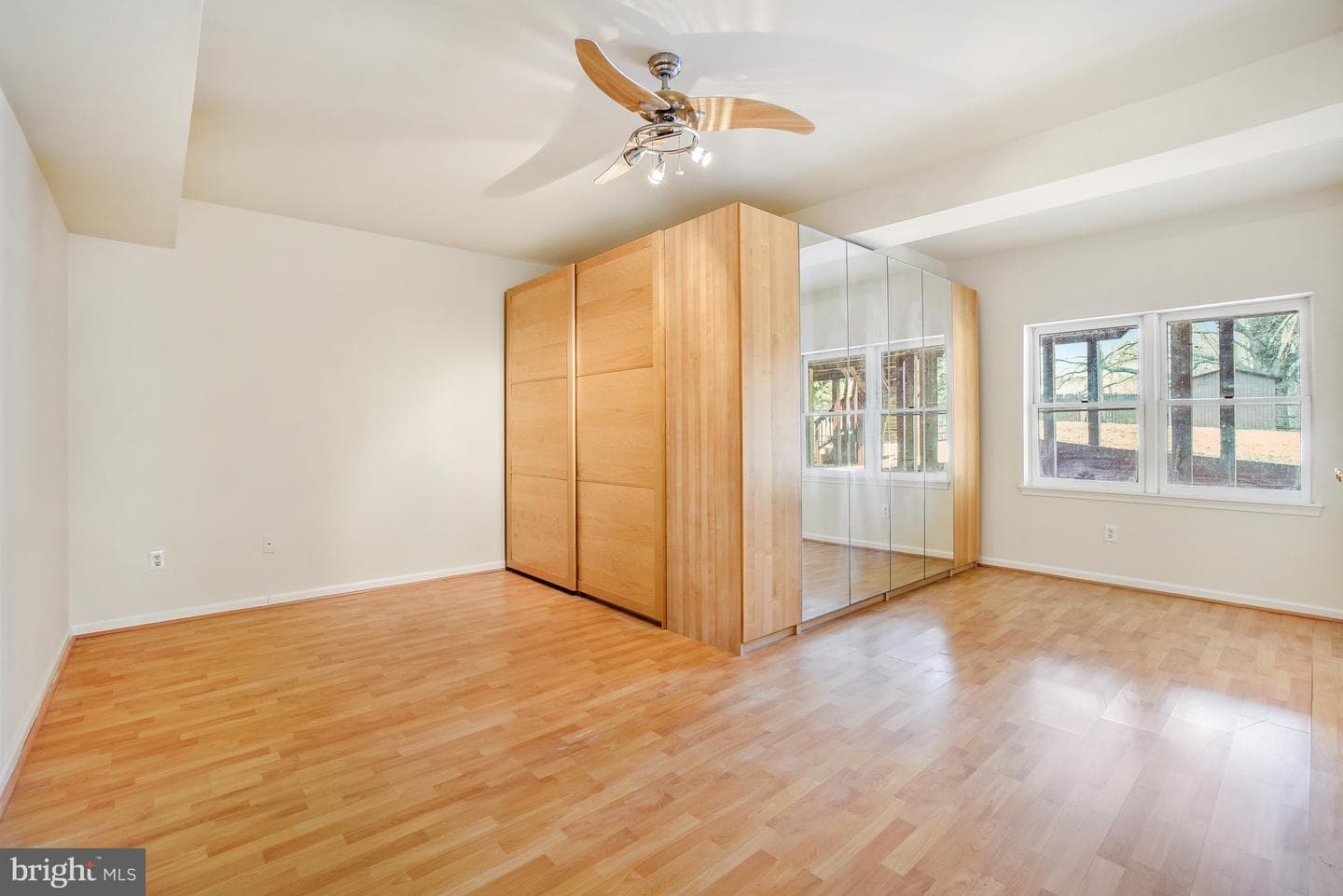 5 Driscoll Court photo 43