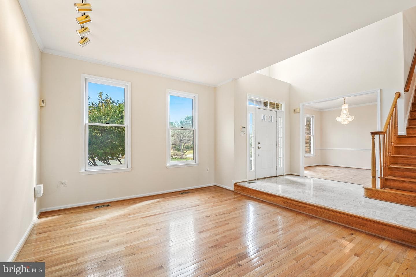 5 Driscoll Court photo 5